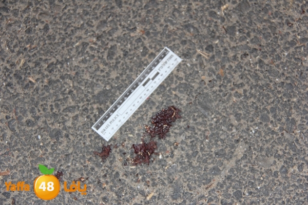 ta3n nwslogyem819 (5).jpg